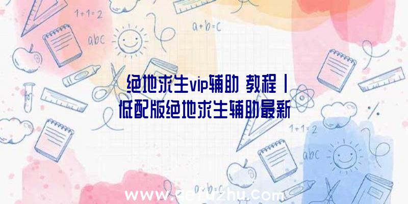 「绝地求生vip辅助